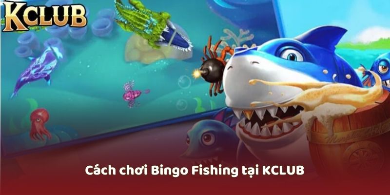 Chi tiết luật và cách chơi Bắn cá Bingo Fishing