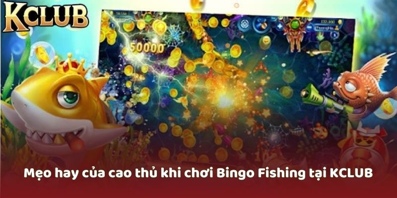 Chi tiết luật và cách chơi Bắn cá Bingo Fishing