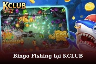 Bingo Fishing