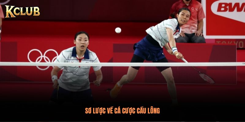 Sơ lược về cá cược cầu lông