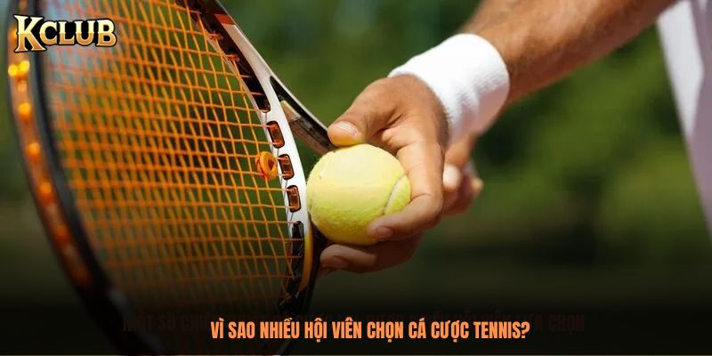 Vì sao nhiều hội viên chọn cá cược Tennis?