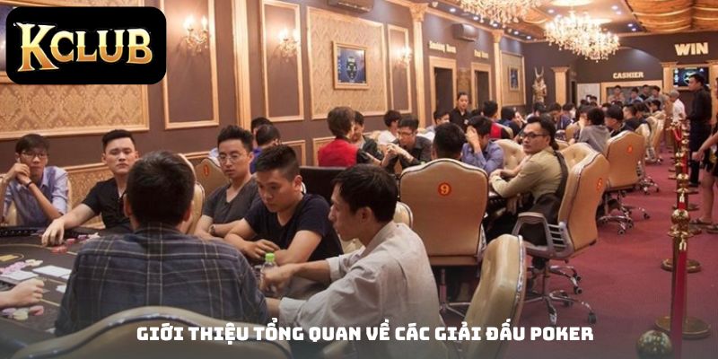 Giới thiệu tổng quan về các giải đấu Poker
