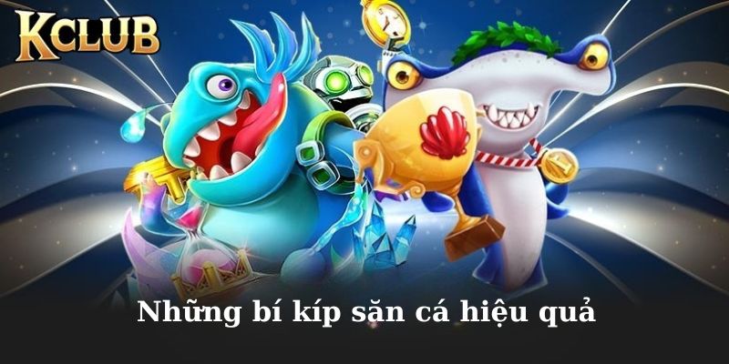 Khám phá những bí kíp săn cá hiệu quả nhất