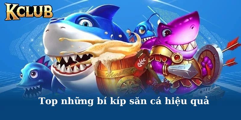 Khám phá những mẹo chơi bắn cá online hay nhất