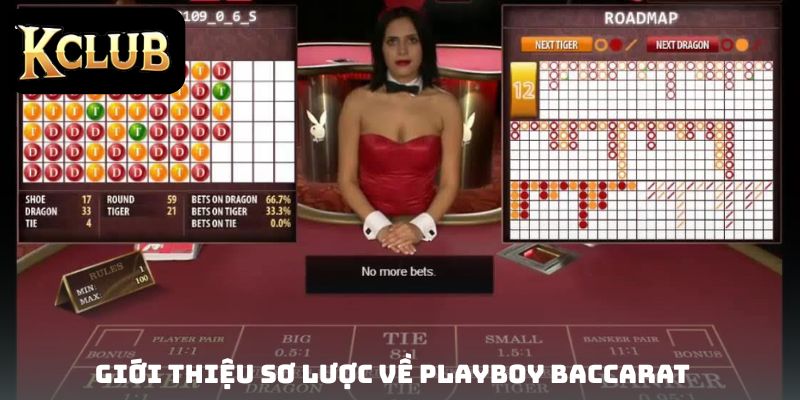Giới thiệu sơ lược về Playboy Baccarat