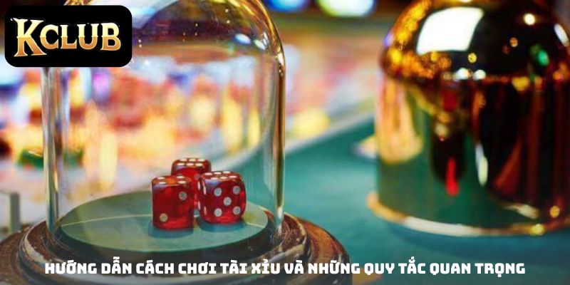 Hướng dẫn cách chơi Tài Xỉu và những quy tắc quan trọng
